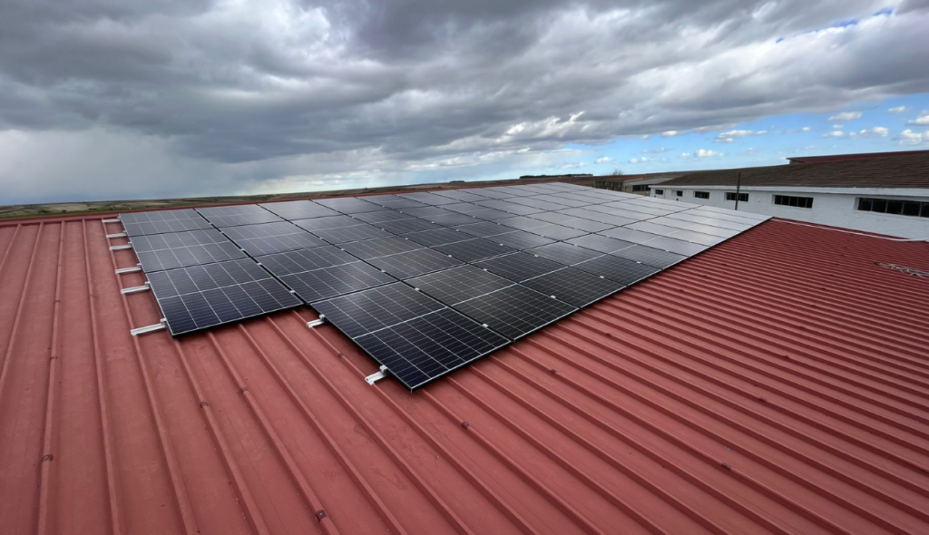 Progetto senza titolo (30)